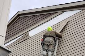 Best Wood Siding Installation  in Plainview, NE